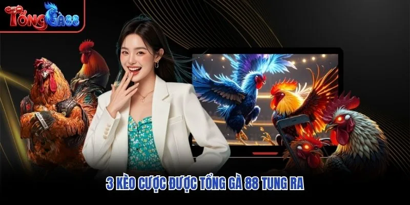 3 kèo cược được Tổng Gà 88 tung ra 3 kèo cược được Tổng Gà 88 tung ra