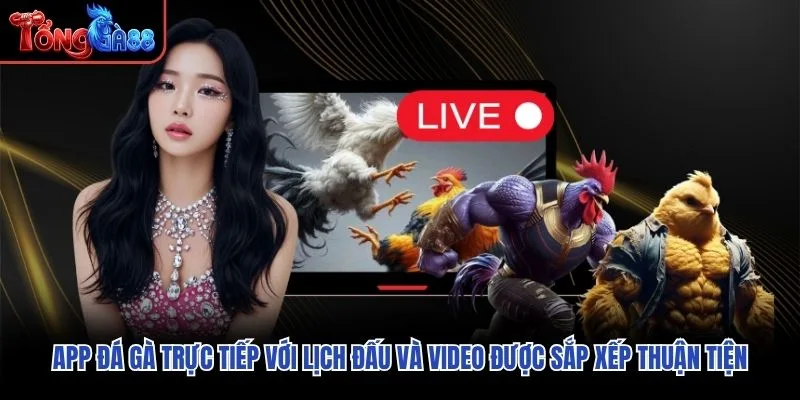 App đá gà trực tiếp với lịch đấu và video được sắp xếp thuận tiện App đá gà trực tiếp với lịch đấu và video được sắp xếp thuận tiện
