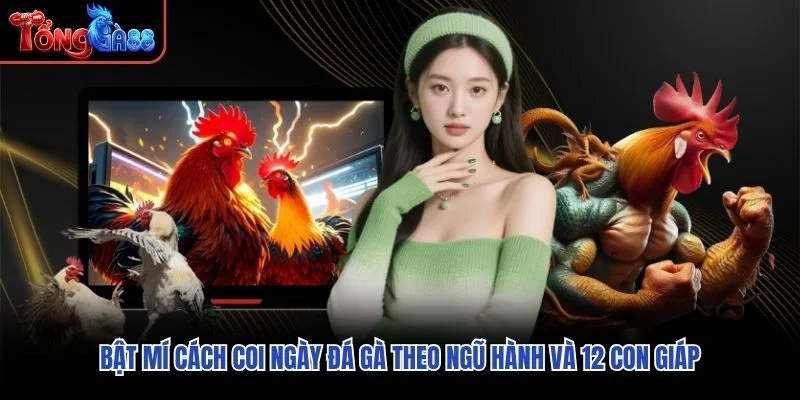 Bật mí cách coi ngày đá gà theo ngũ hành và 12 con giáp Bật mí cách coi ngày đá gà theo ngũ hành và 12 con giáp