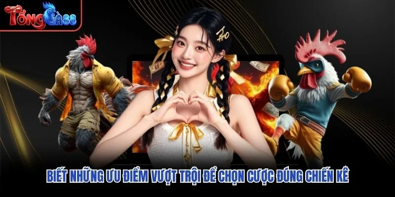 Biết những ưu điểm vượt trội để chọn cược đúng chiến kê Biết những ưu điểm vượt trội để chọn cược đúng chiến kê