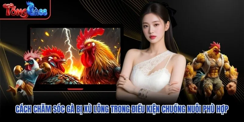 Cách chăm sóc gà bị xù lông trong điều kiện chuồng nuôi phù hợp