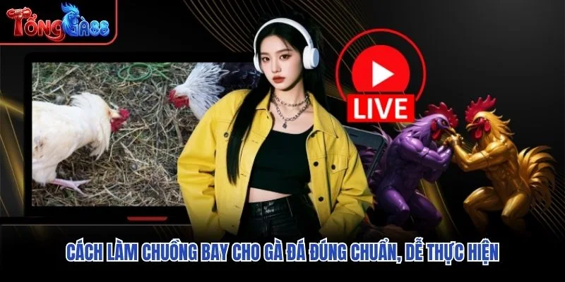 Cách Làm Chuồng Bay Cho Gà Đá Đúng Chuẩn, Dễ Thực Hiện