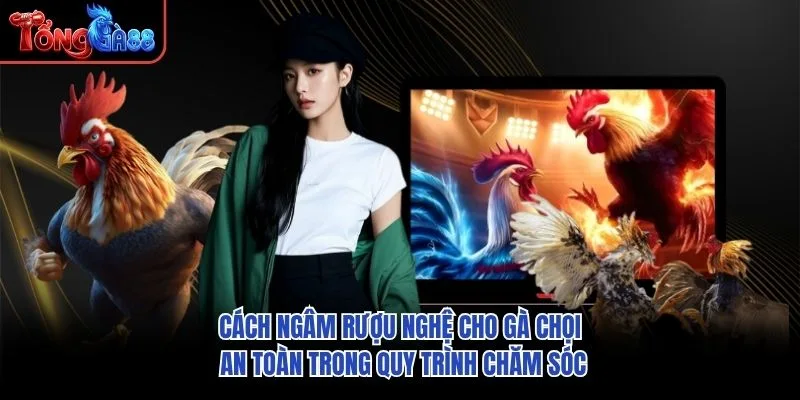 Cách ngâm rượu nghệ cho gà chọi an toàn trong quy trình chăm sóc Cách ngâm rượu nghệ cho gà chọi an toàn trong quy trình chăm sóc