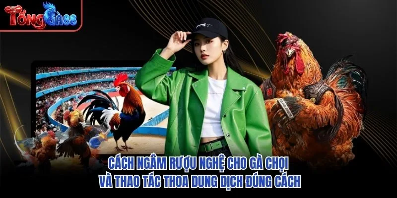 Cách ngâm rượu nghệ cho gà chọi và thao tác thoa dung dịch đúng cách Cách ngâm rượu nghệ cho gà chọi và thao tác thoa dung dịch đúng cách