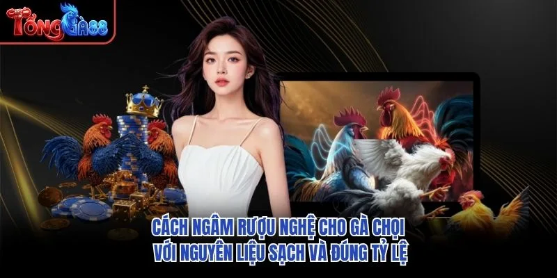 Cách ngâm rượu nghệ cho gà chọi với nguyên liệu sạch và đúng tỷ lệ Cách ngâm rượu nghệ cho gà chọi với nguyên liệu sạch và đúng tỷ lệ
