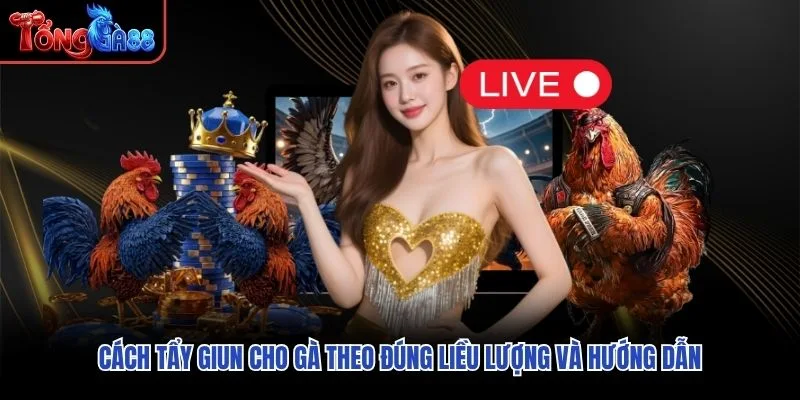 Cách tẩy giun cho gà theo đúng liều lượng và hướng dẫn Cách tẩy giun cho gà theo đúng liều lượng và hướng dẫn