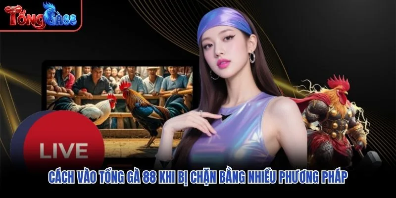 Cách vào Tổng Gà 88 khi bị chặn bằng nhiều phương pháp Cách vào Tổng Gà 88 khi bị chặn bằng nhiều phương pháp