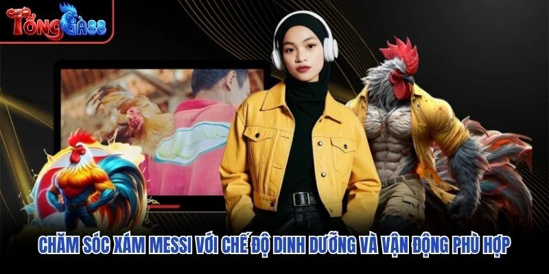 Chăm sóc Xám Messi với chế độ dinh dưỡng và vận động phù hợp