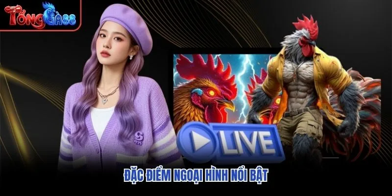 Đặc điểm ngoại hình nổi bật