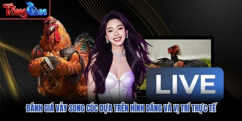 Đánh giá vảy song cúc dựa trên hình dáng và vị trí thực tế Đánh giá vảy song cúc dựa trên hình dáng và vị trí thực tế