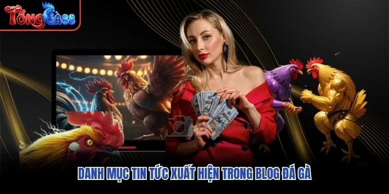 Danh mục tin tức xuất hiện trong Blog đá gà Danh mục tin tức xuất hiện trong Blog đá gà