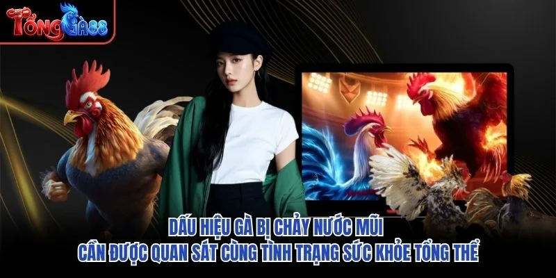 Dấu hiệu gà bị chảy nước mũi cần được quan sát cùng tình trạng sức khỏe tổng thể Dấu hiệu gà bị chảy nước mũi cần được quan sát cùng tình trạng sức khỏe tổng thể