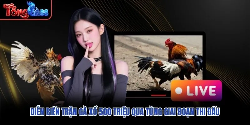 Diễn biến Trận Gà Xổ 500 Triệu qua từng giai đoạn thi đấu