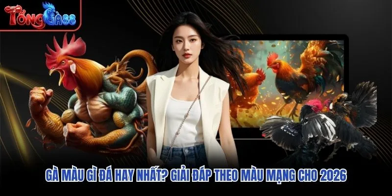 Gà Màu Gì Đá Hay Nhất? Giải Đáp Theo Màu Mạng Cho 2026
