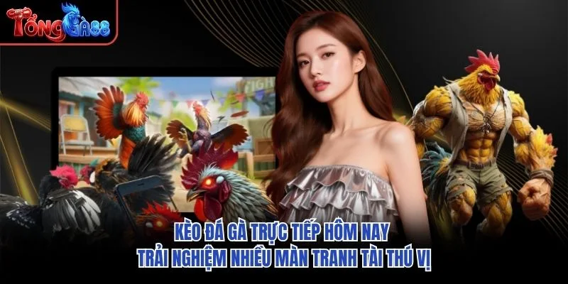 Kèo đá gà trực tiếp hôm nay trải nghiệm nhiều màn tranh tài thú vị Kèo đá gà trực tiếp hôm nay trải nghiệm nhiều màn tranh tài thú vị