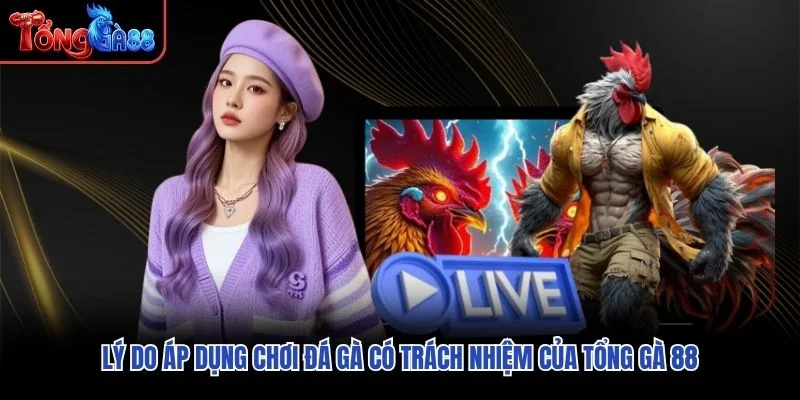 Lý do áp dụng chơi đá gà có trách nhiệm của Tổng Gà 88
