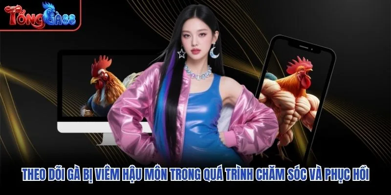 Theo dõi gà bị viêm hậu môn trong quá trình chăm sóc và phục hồi Theo dõi gà bị viêm hậu môn trong quá trình chăm sóc và phục hồi