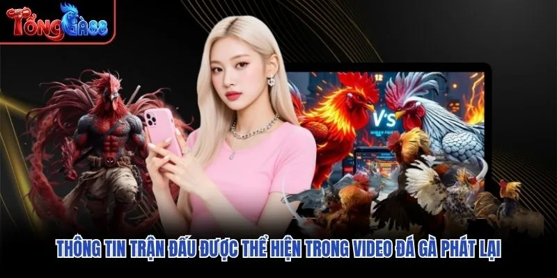 Thông tin trận đấu được thể hiện trong video đá gà phát lại Thông tin trận đấu được thể hiện trong video đá gà phát lại
