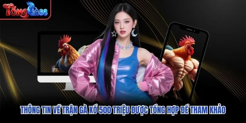 Thông tin về Trận Gà Xổ 500 Triệu được tổng hợp để tham khảo