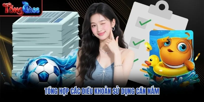 Tổng hợp các điều khoản sử dụng cần nắm