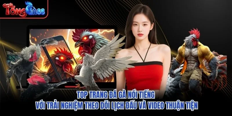 Top trang đá gà nổi tiếng với trải nghiệm theo dõi lịch đấu và video thuận tiện Top trang đá gà nổi tiếng với trải nghiệm theo dõi lịch đấu và video thuận tiện